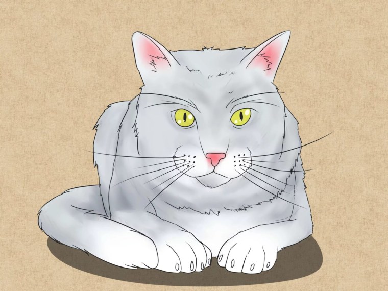 Мультяшные котики рисунки