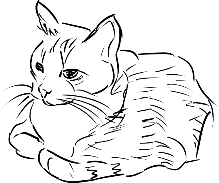 Кошки. Раскраска