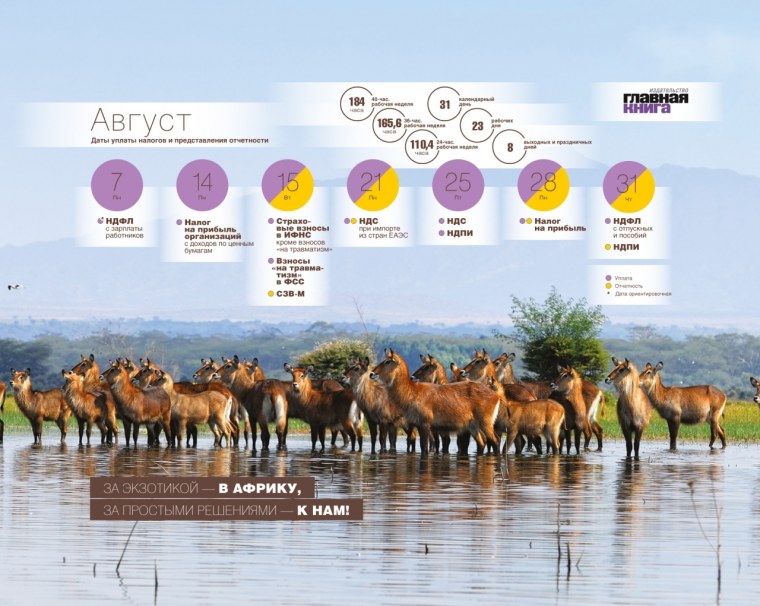 Календарь бухгалтера на рабочий стол