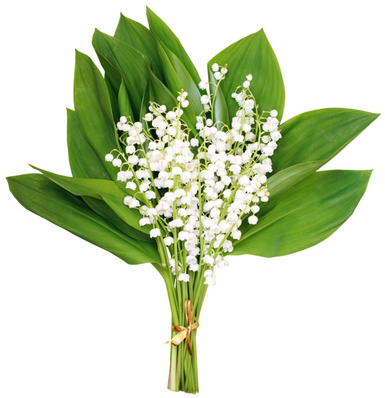 Ландыш Майский букетик