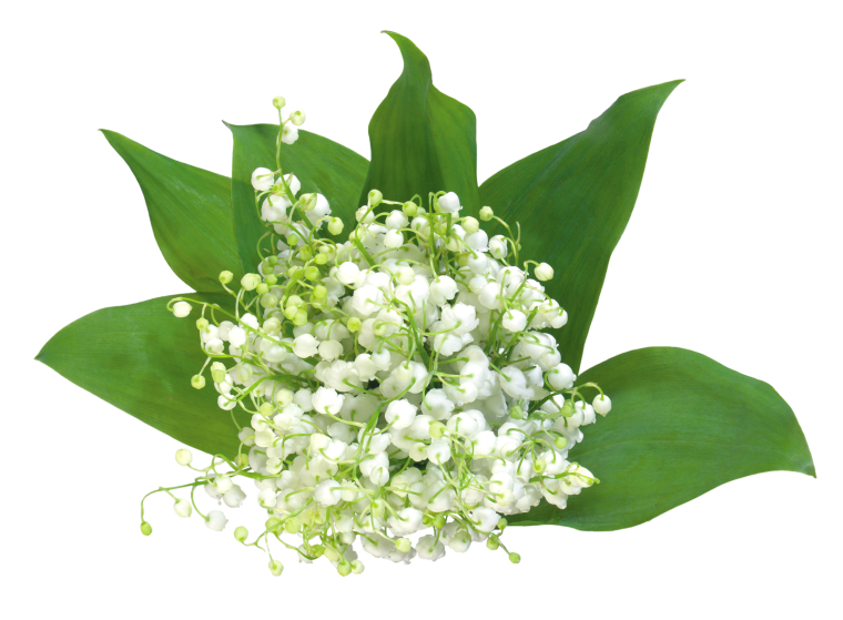 Букет ландышей