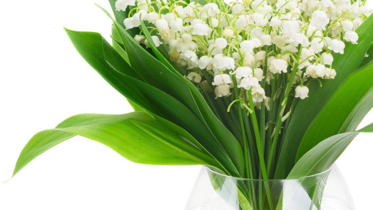 Букет ландышей