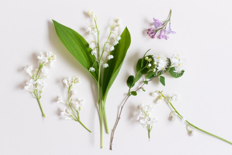 Цветы Ландыши