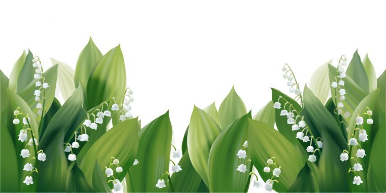 Ветка ландыша