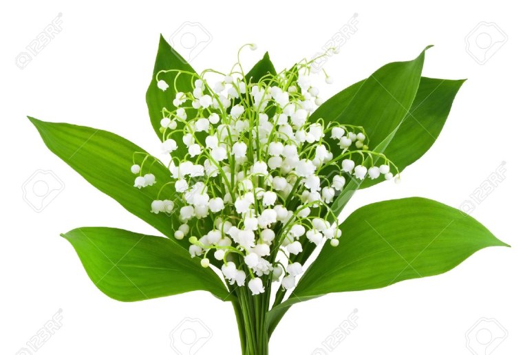 Ландыши в вазе