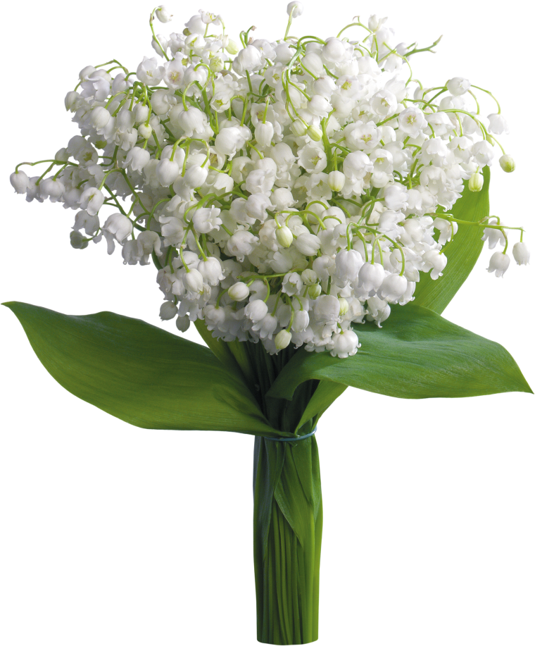 Букет ландышей