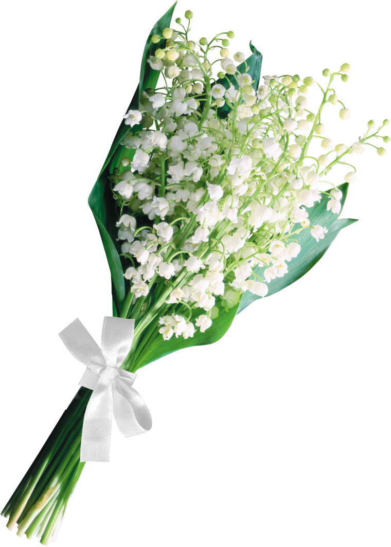 Ландыши лежат