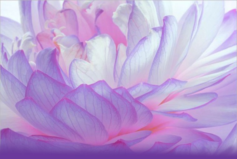 Эстетика фиолетового