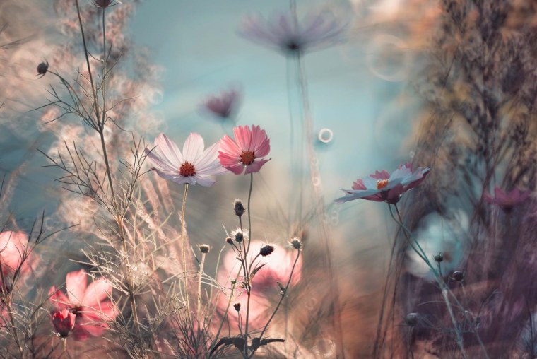 Цветной фон