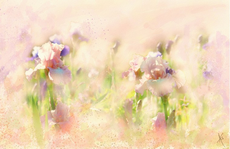 Пододеяльник 200x200 коралл