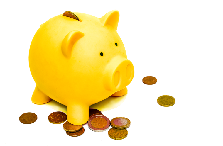 Сэкономить свинья копилка