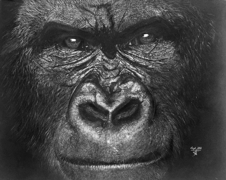 Морда обезьяны