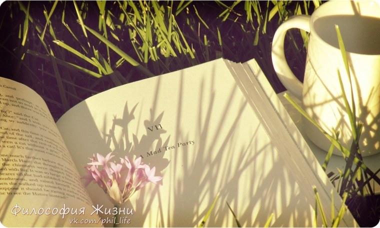 Летняя книжная Эстетика