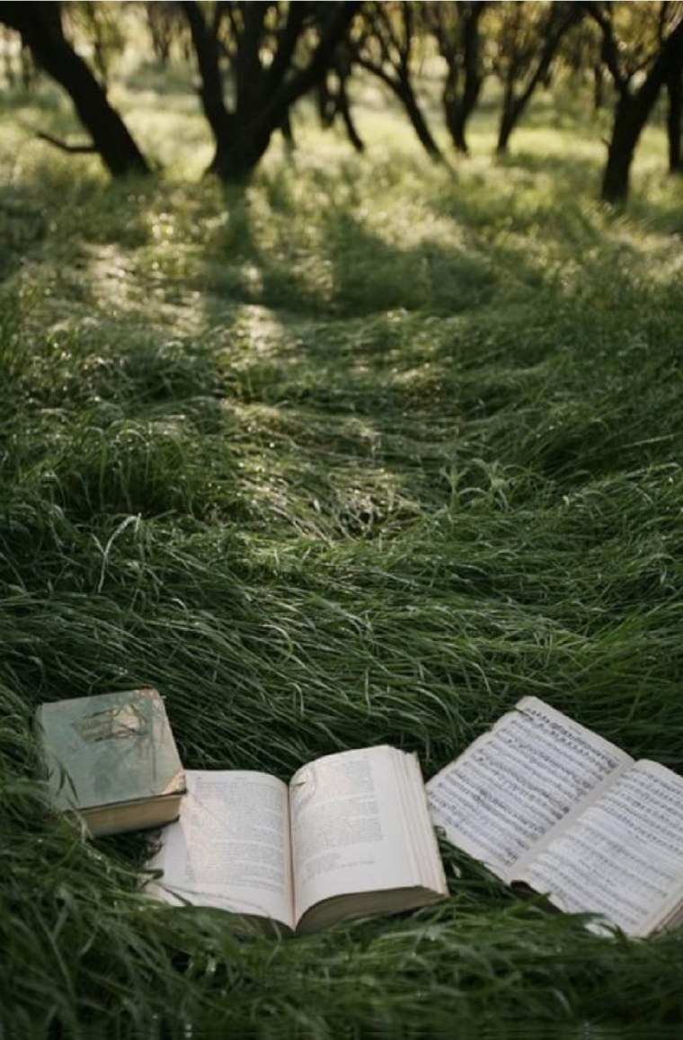 Книга на траве