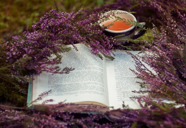 Вереск Эстетика