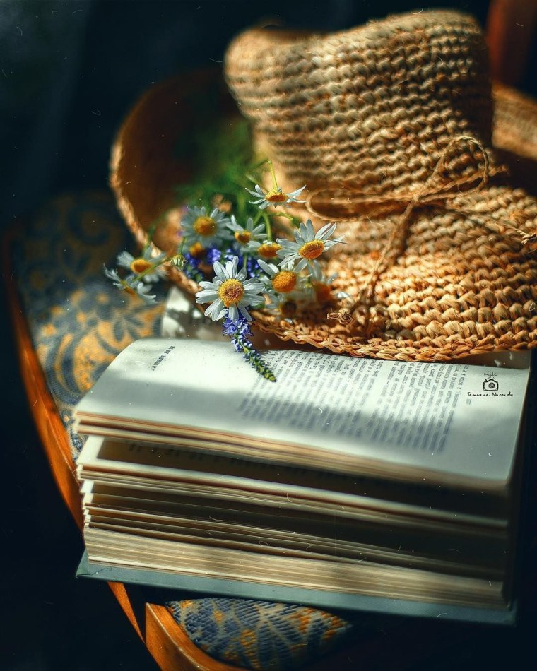 Красивые книжки