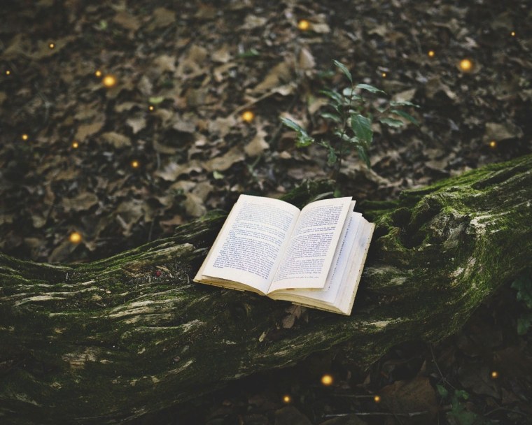 Книги Эстетика