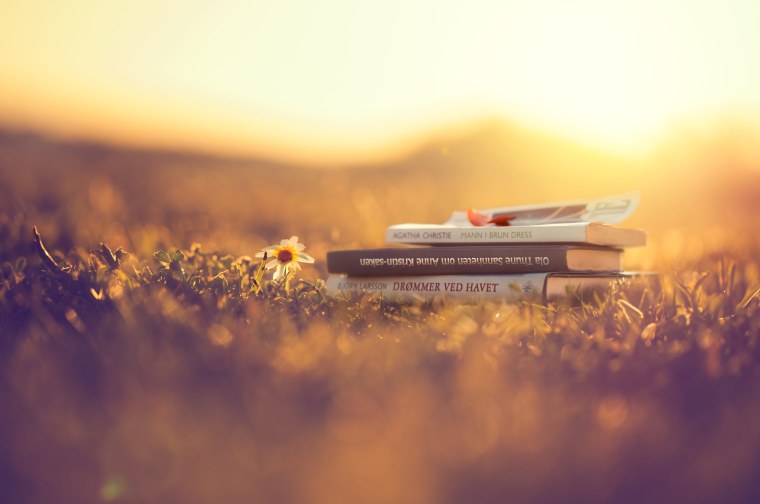 Книги на природе Эстетика