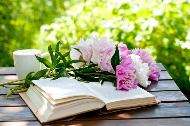 Лето книга цветок