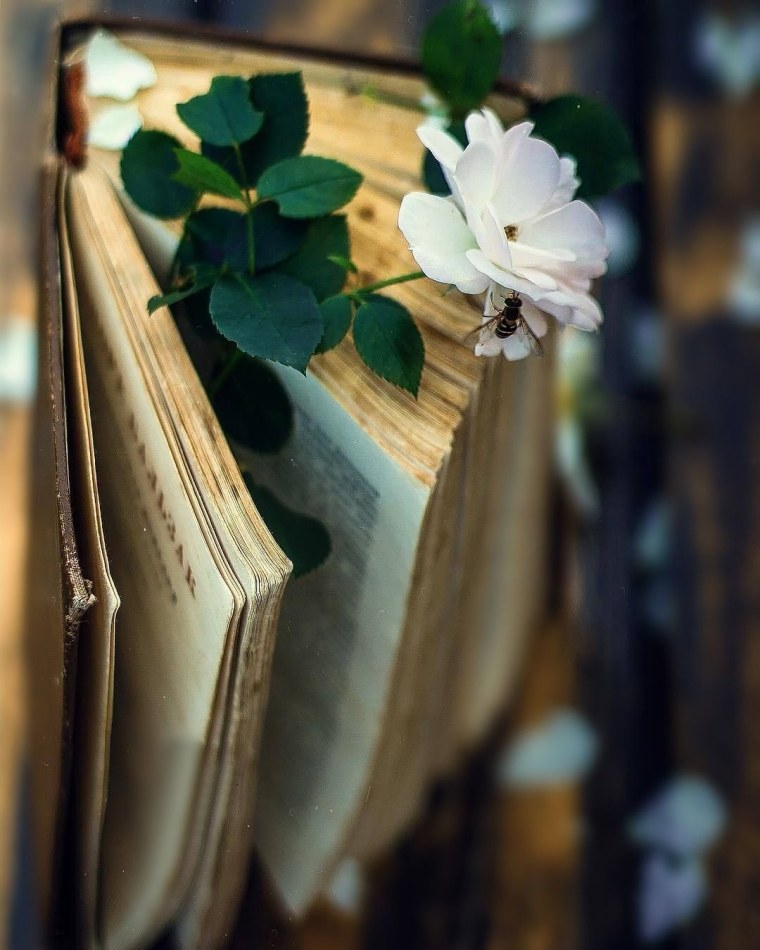 Книга цветы