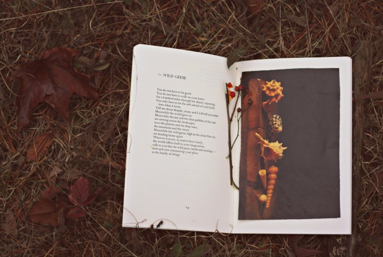 Книга осенние листья из книги