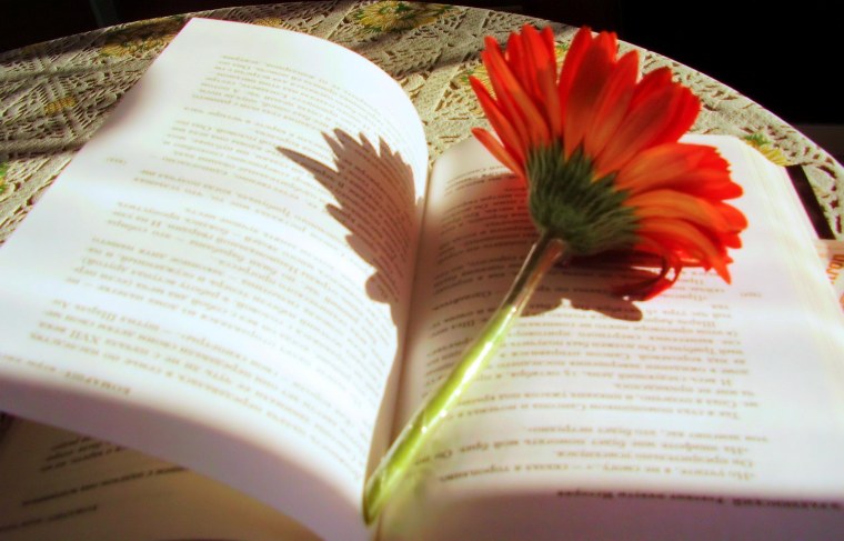 Книги о цветах