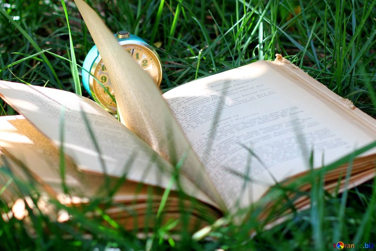 Книга трава фон