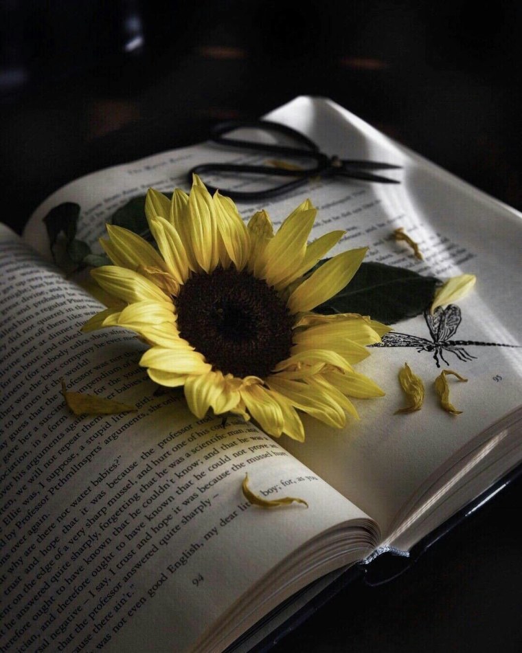 Книги о подсолнечнике