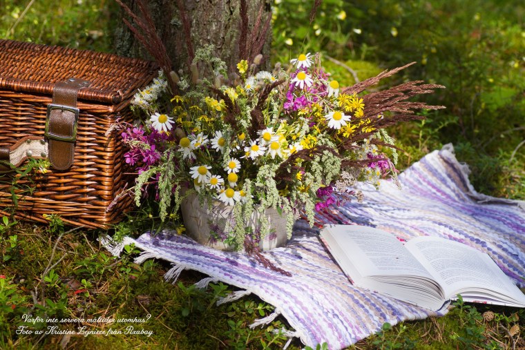 Лето с книгой