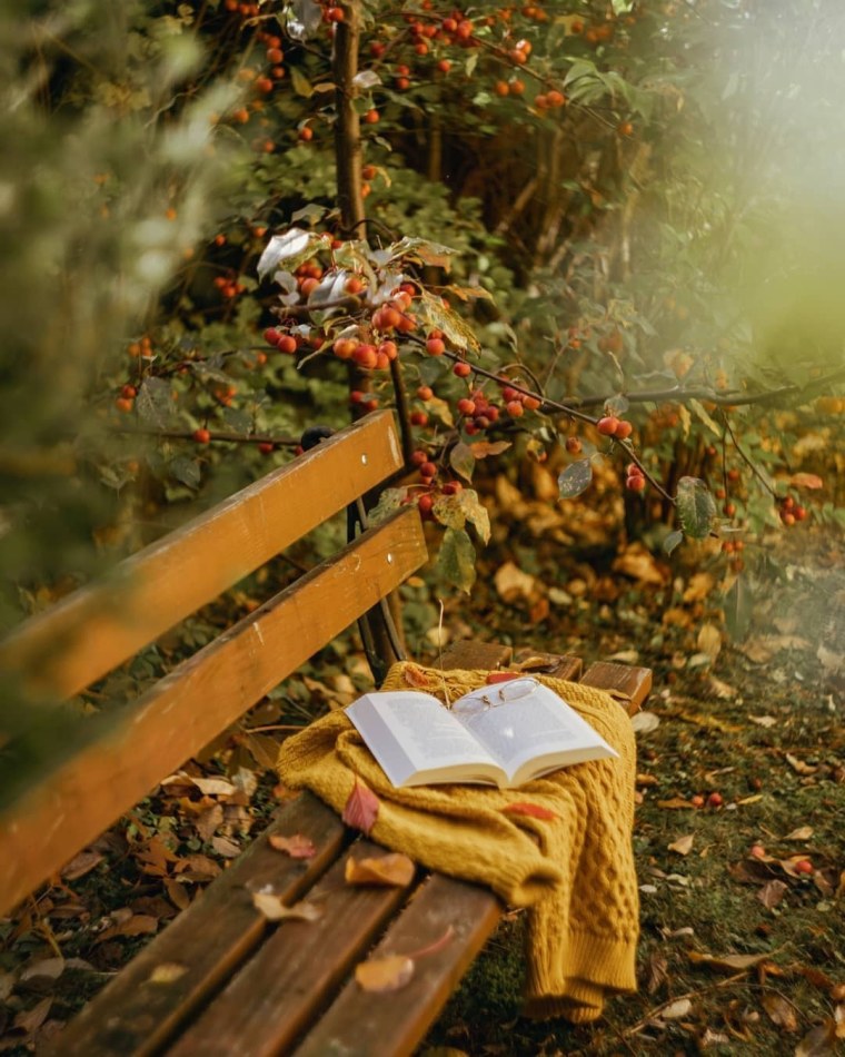 Осень Вдохновение