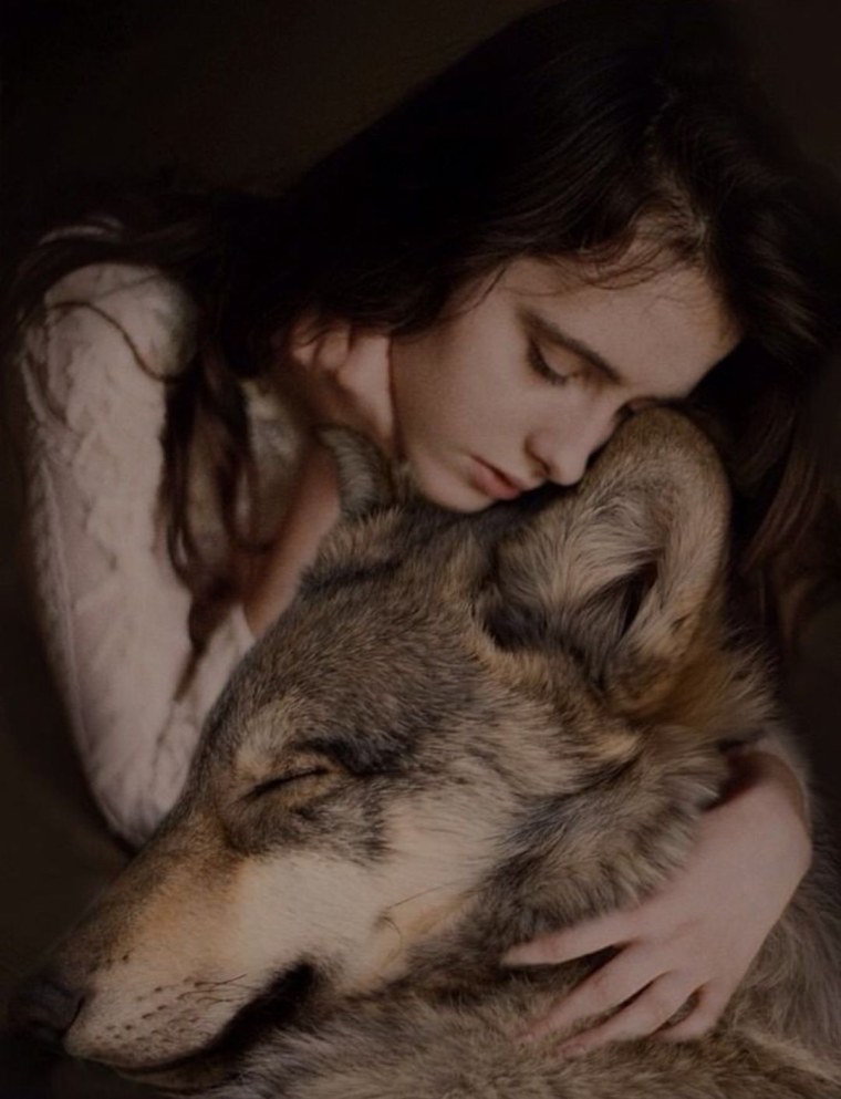 Вольф Вольф человек волк