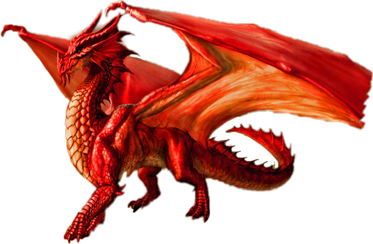 Дракон на белом фоне