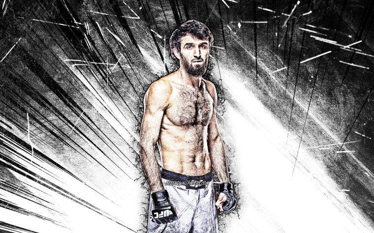 Забит Магомедшарипов арт