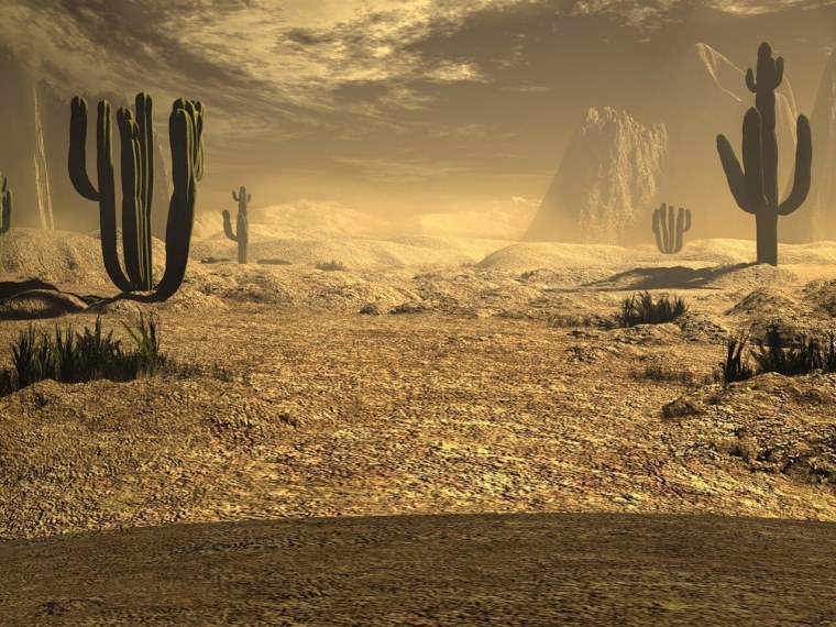 Пустыни дикого Запада