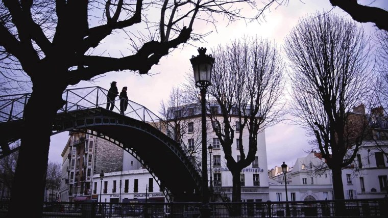 Городской пейзаж с деревьями