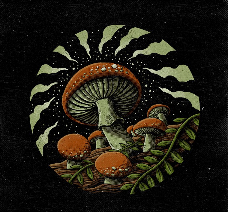 Грибы арт