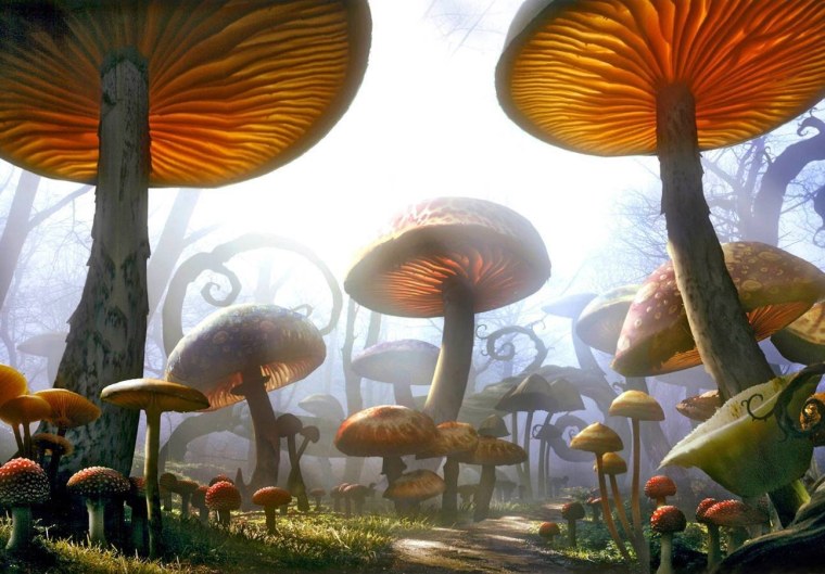 Алиса тим бёртон грибы