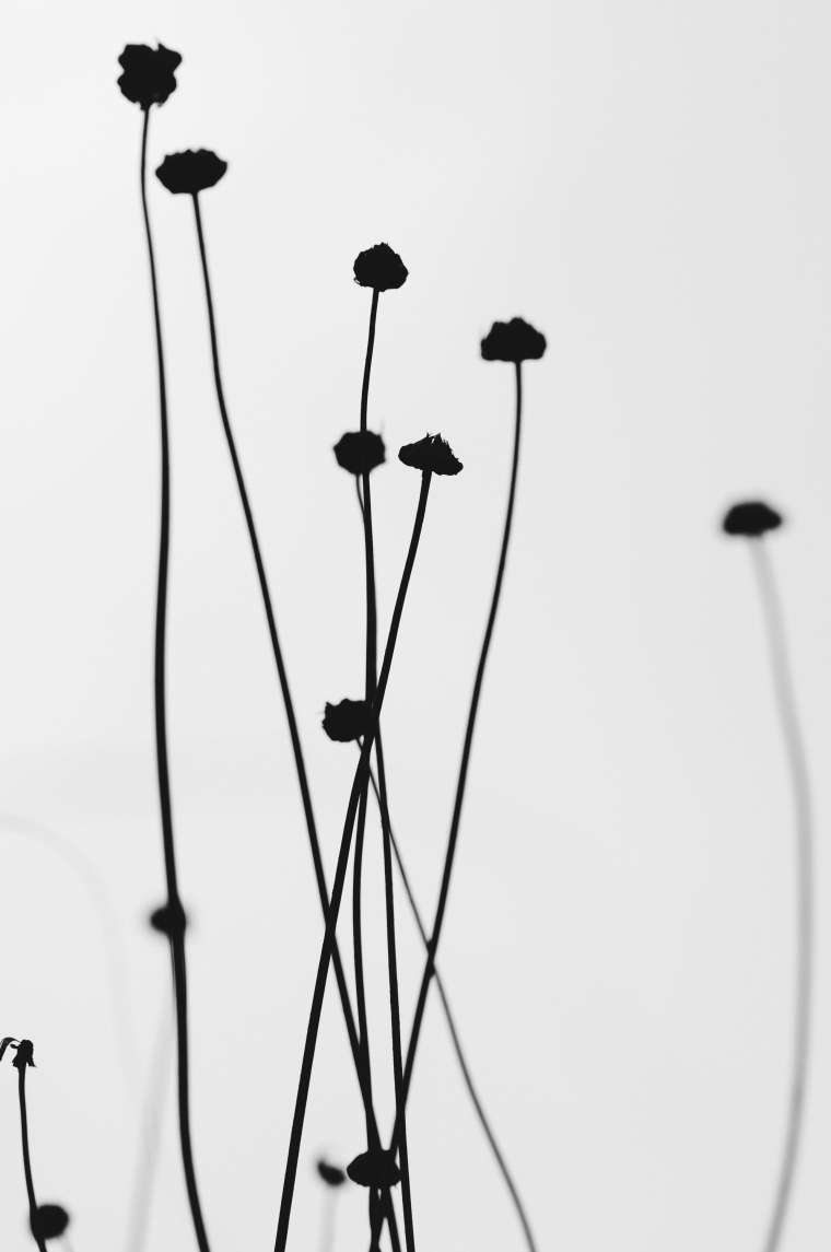 Черно белый Минимализм