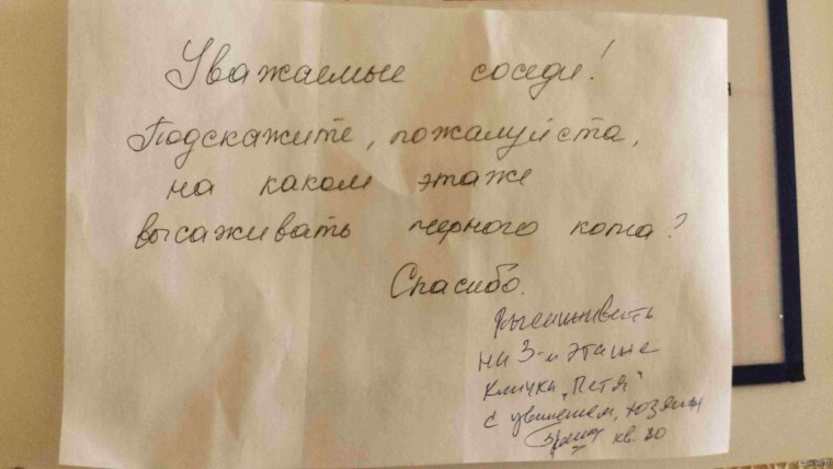 Как составить объяснительную записку на работу