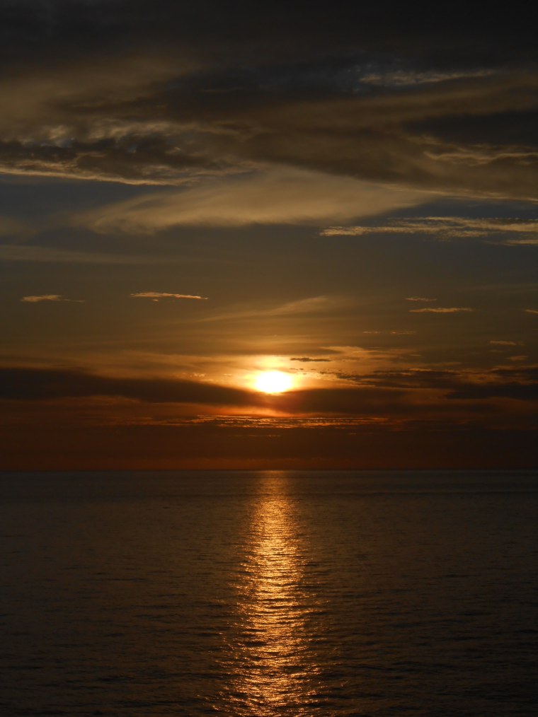 Ночь в тропиках