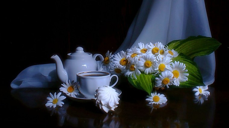 Добрый вечер ромашки