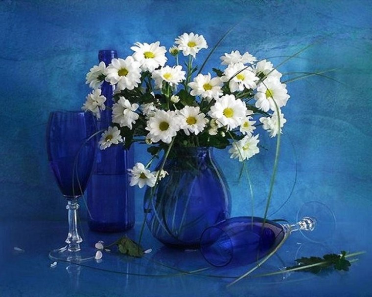 Ромашки утро