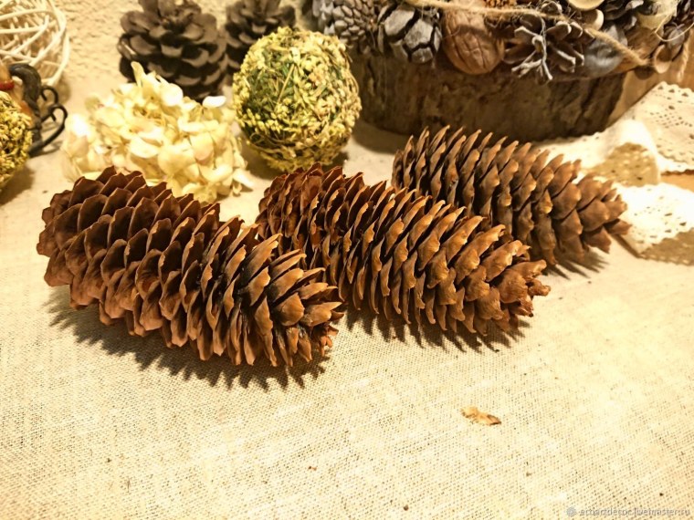 Еловые шишки