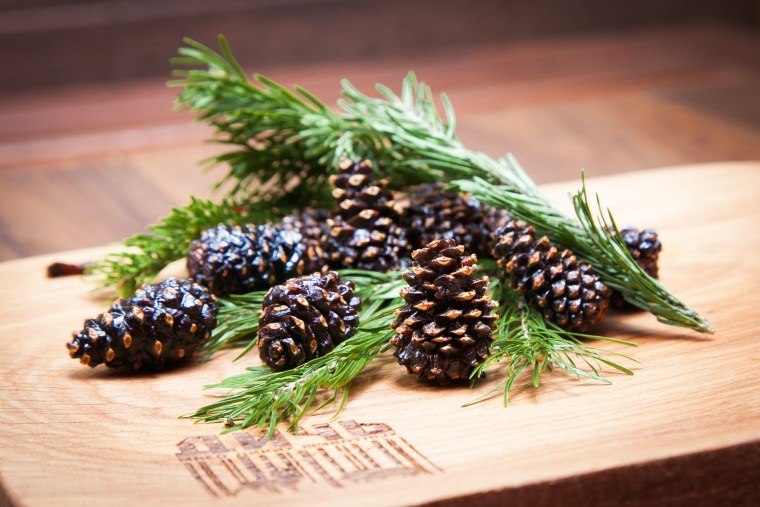 Ель канадская шишки