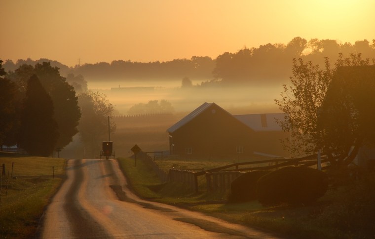 Деревня в тумане