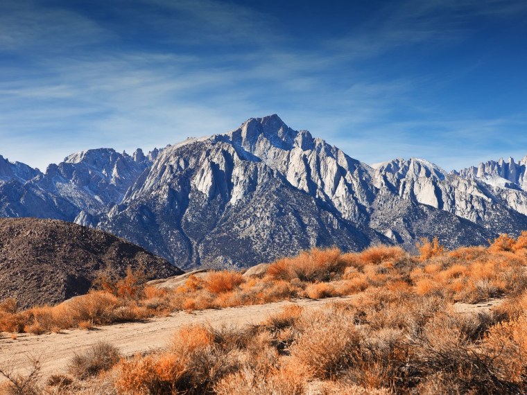 Кордильер пустынсеверной Америки