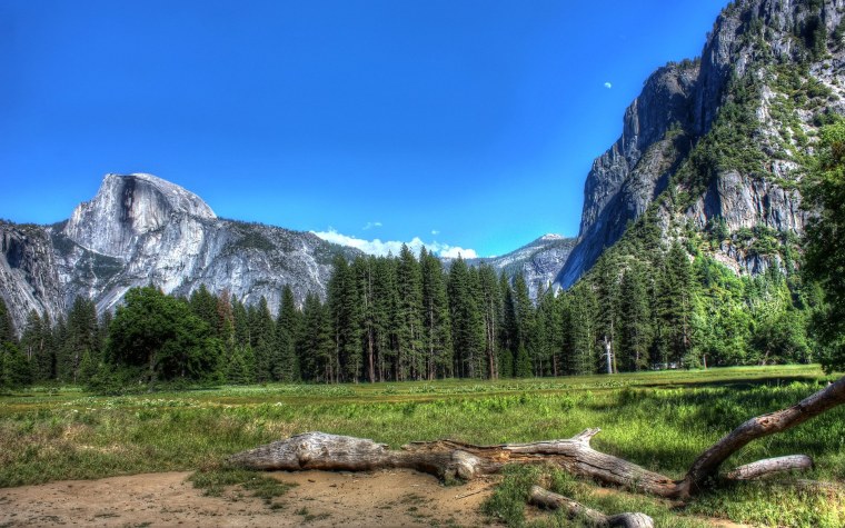 Polyscape эффект