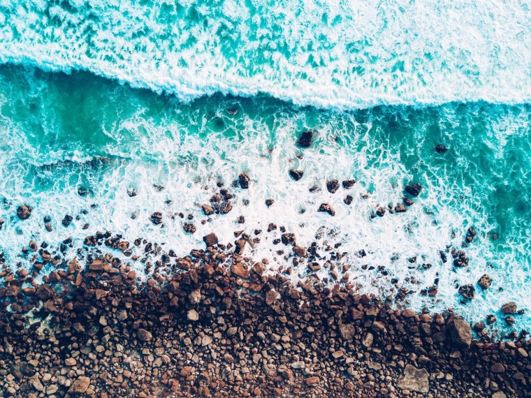 Одуванчик в руке