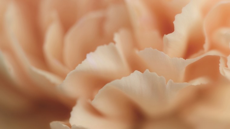 Эстетика в персиковых тонах