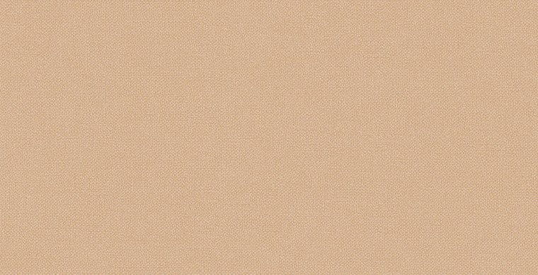 Эстетика телесного